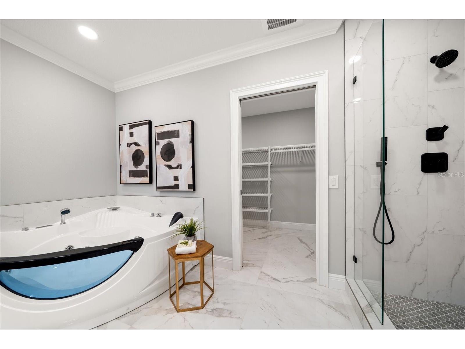 211 Dolphin Point #202 Clearwater FL 33767 TB8459306 image22