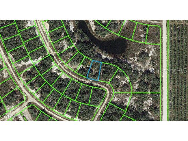 211 Dargen Drive Lake Placid FL 33852 OM542090 image1