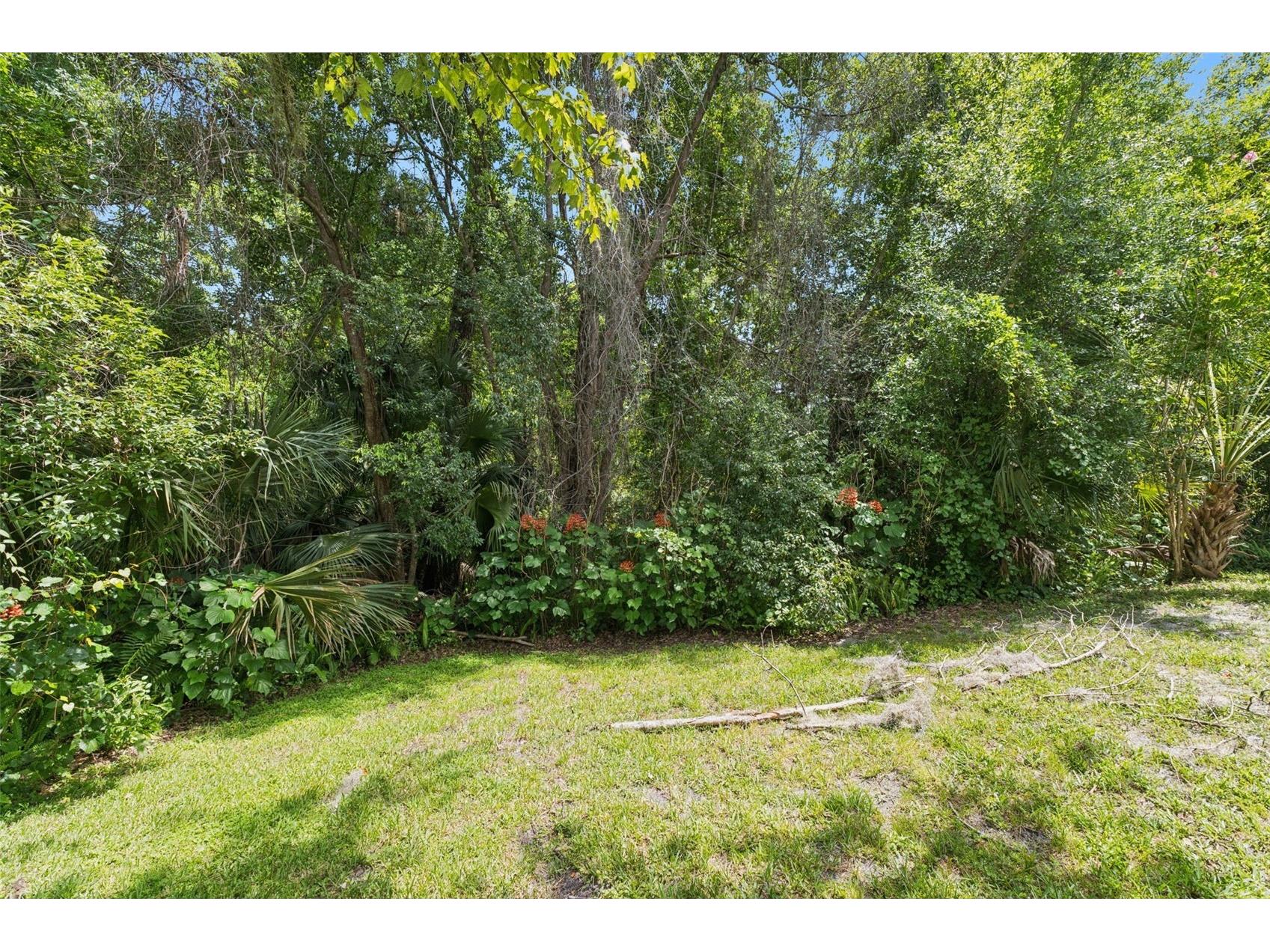 211 Hickory Drive Longwood FL 32779 - LAKE BRANTLEY O6424518 image43