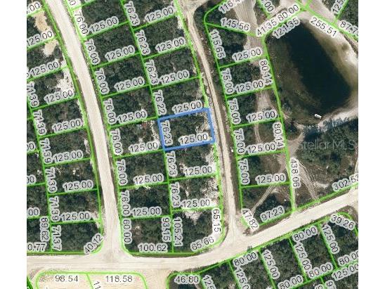 211 Hopedale Drive Lake Placid FL 33852 C7474238 image1