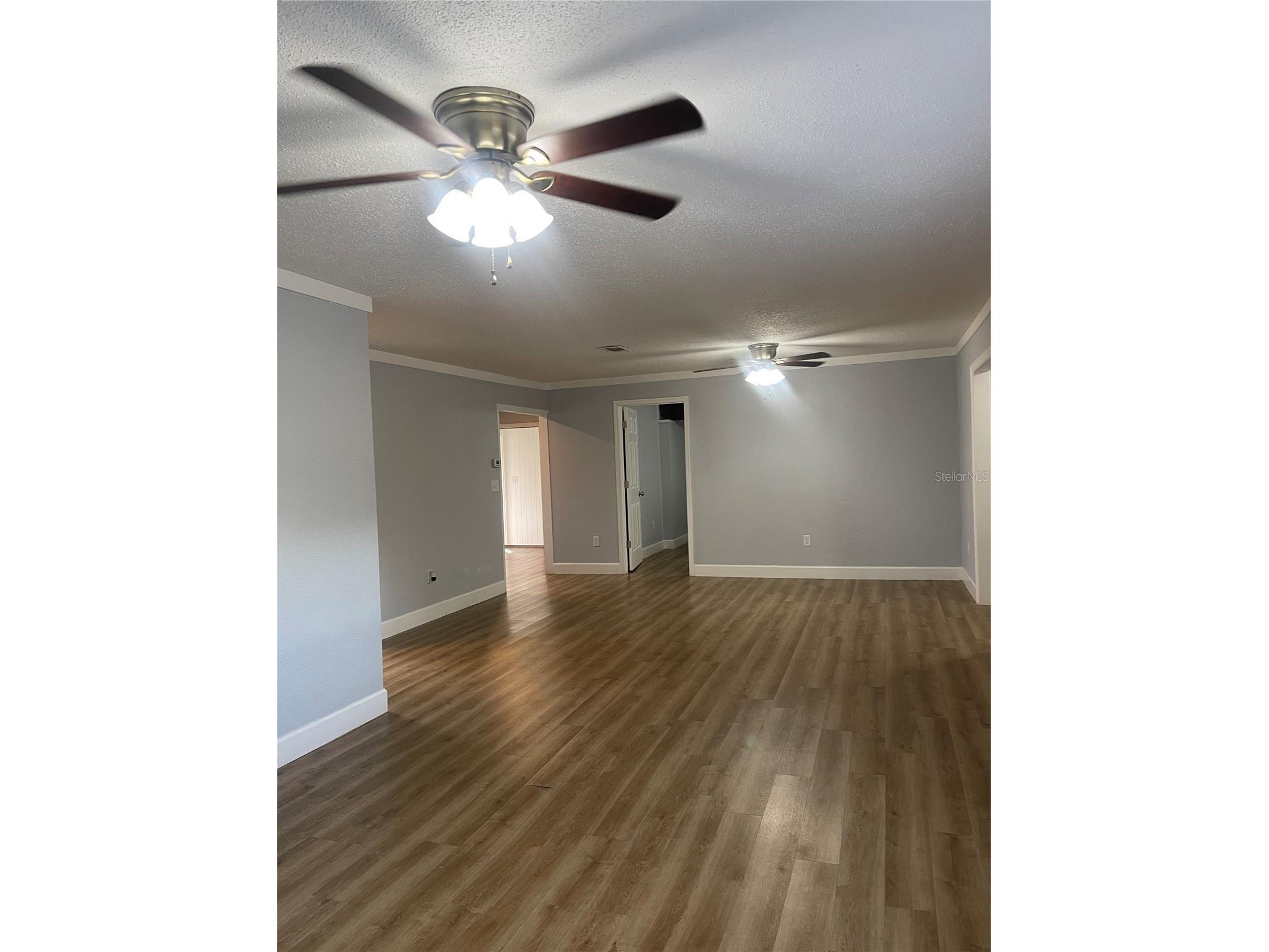 211 NW Highway 441 Micanopy FL 32667 S5144057 image13