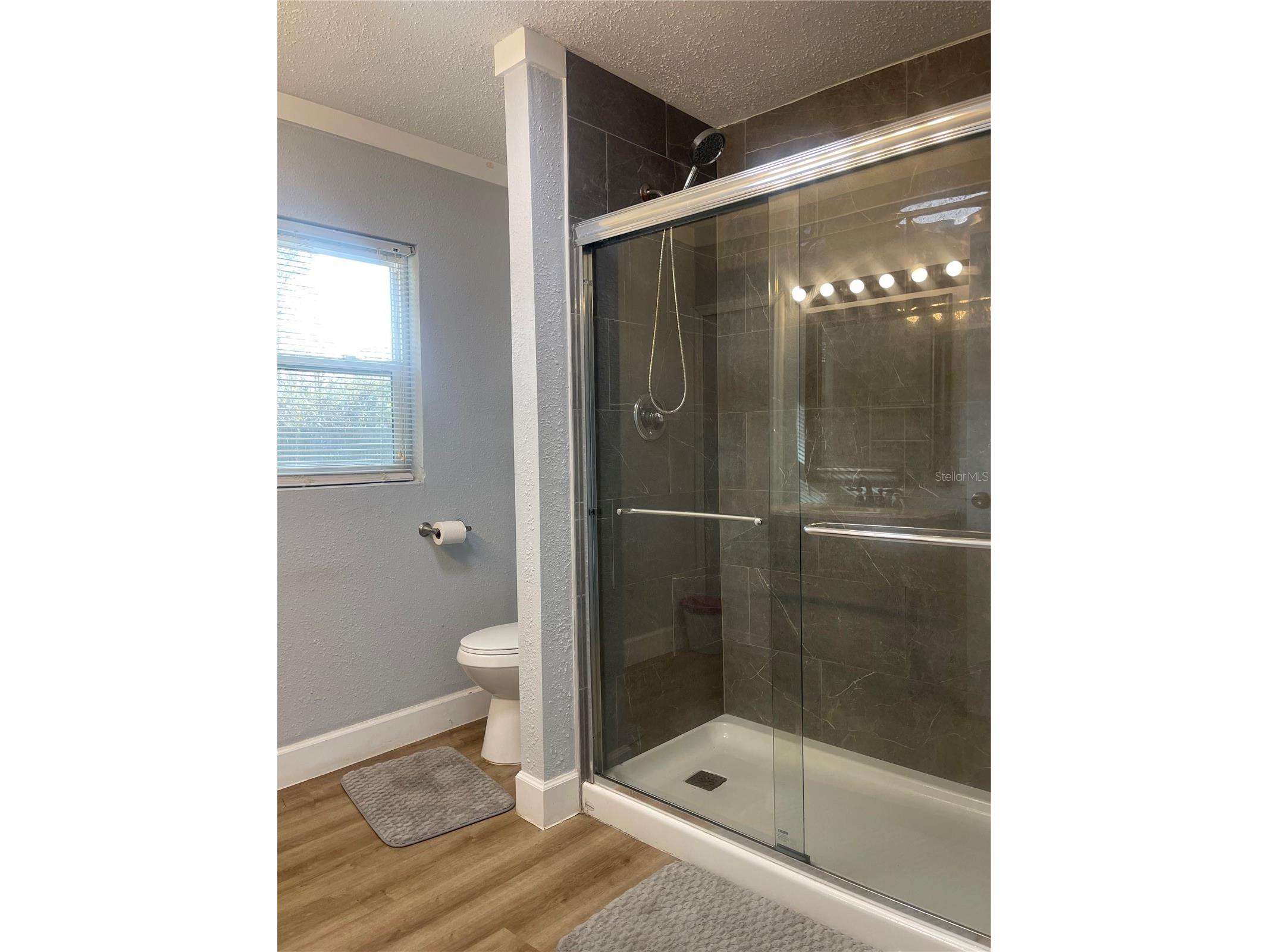 211 NW Highway 441 Micanopy FL 32667 S5144057 image16