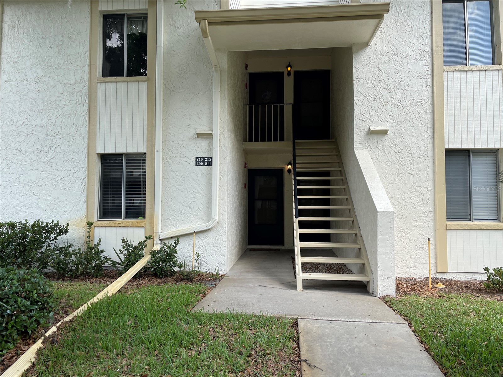211 Pine Court #211 Oldsmar FL 34677 TB8406368 image1