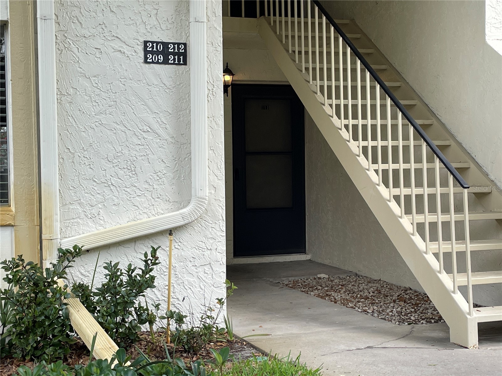 211 Pine Court #211 Oldsmar FL 34677 TB8406368 image2