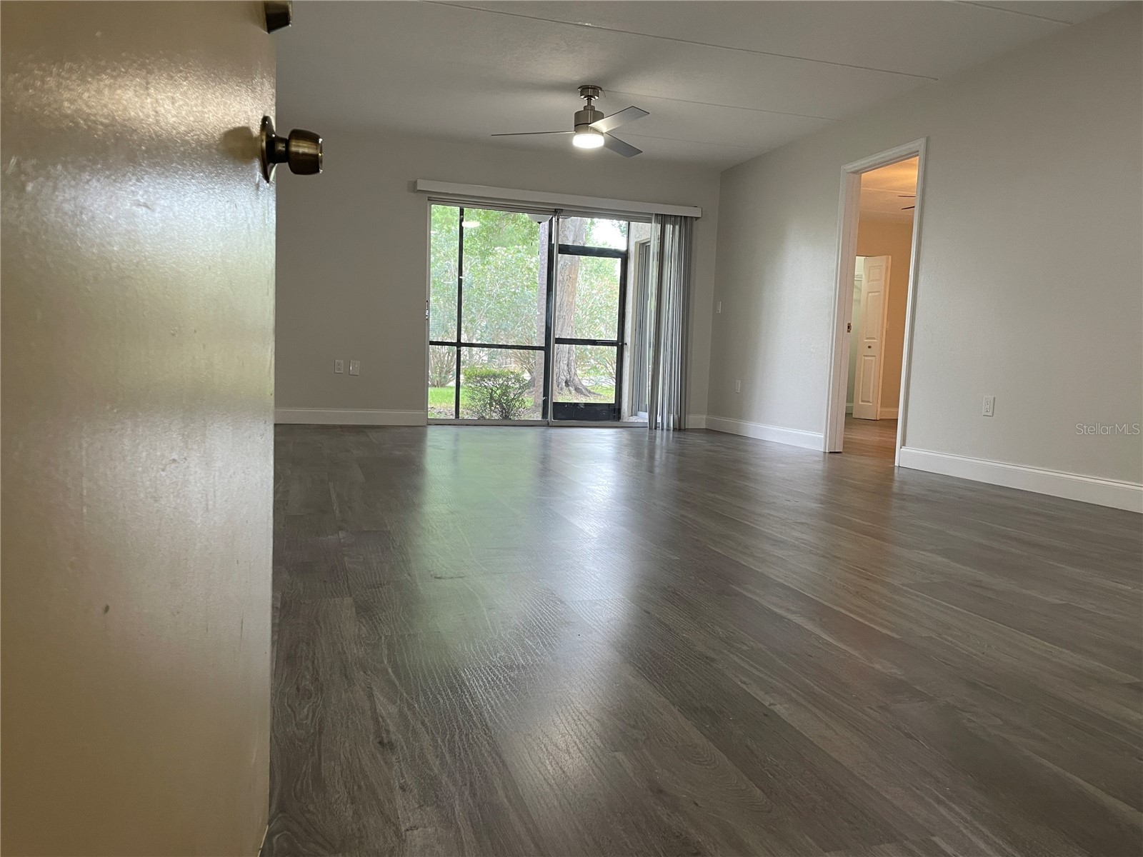 211 Pine Court #211 Oldsmar FL 34677 TB8406368 image4