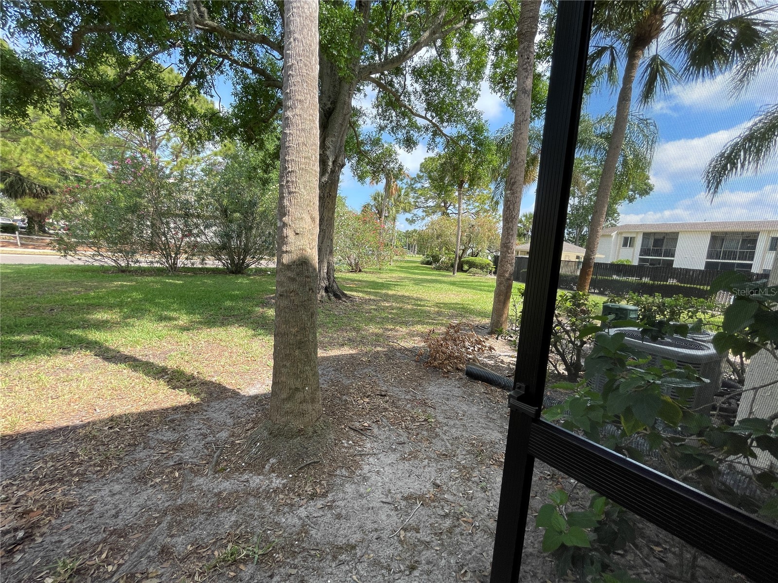 211 Pine Court #211 Oldsmar FL 34677 TB8406368 image43