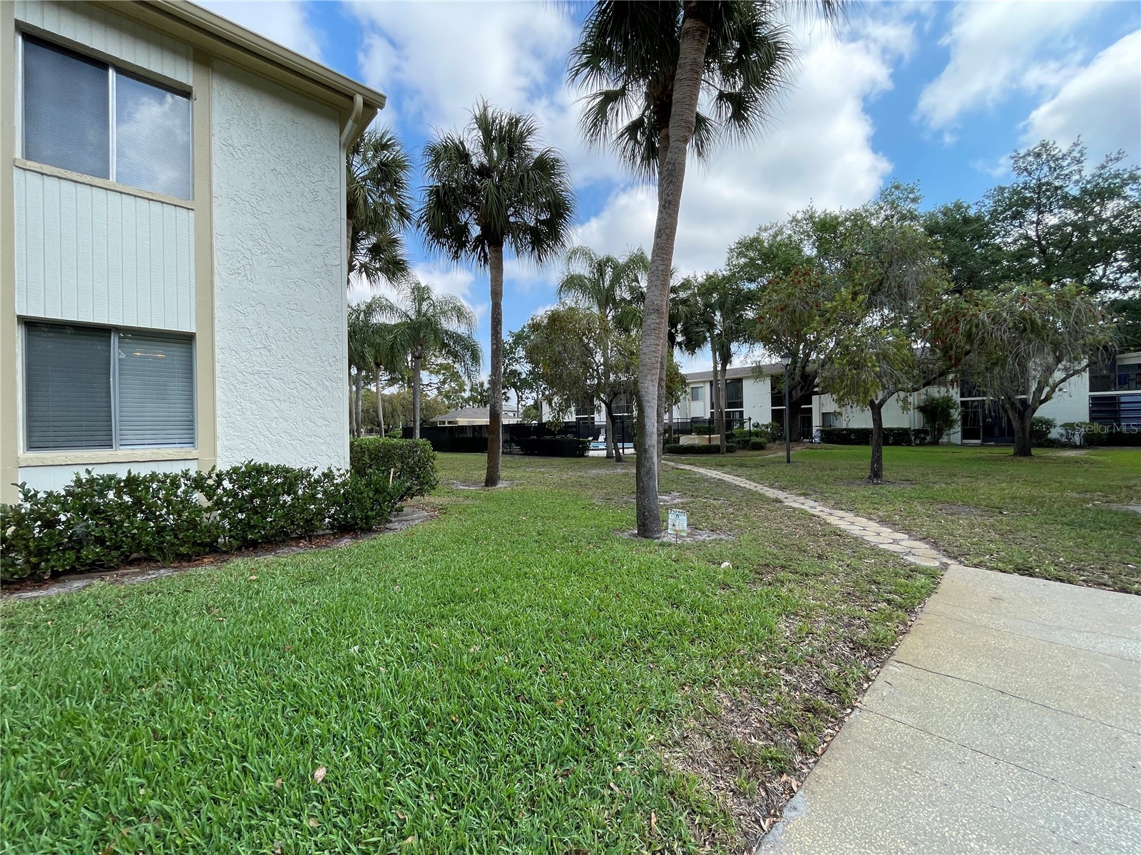 211 Pine Court #211 Oldsmar FL 34677 TB8406368 image45