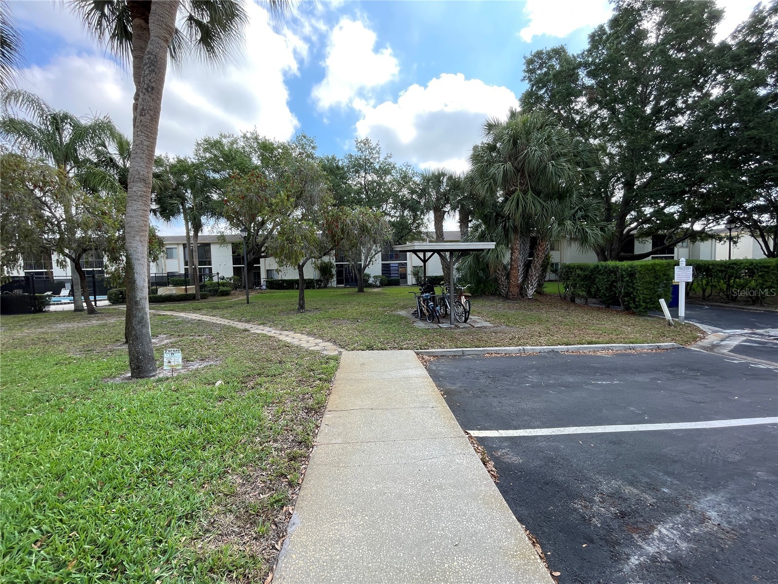 211 Pine Court #211 Oldsmar FL 34677 TB8406368 image46
