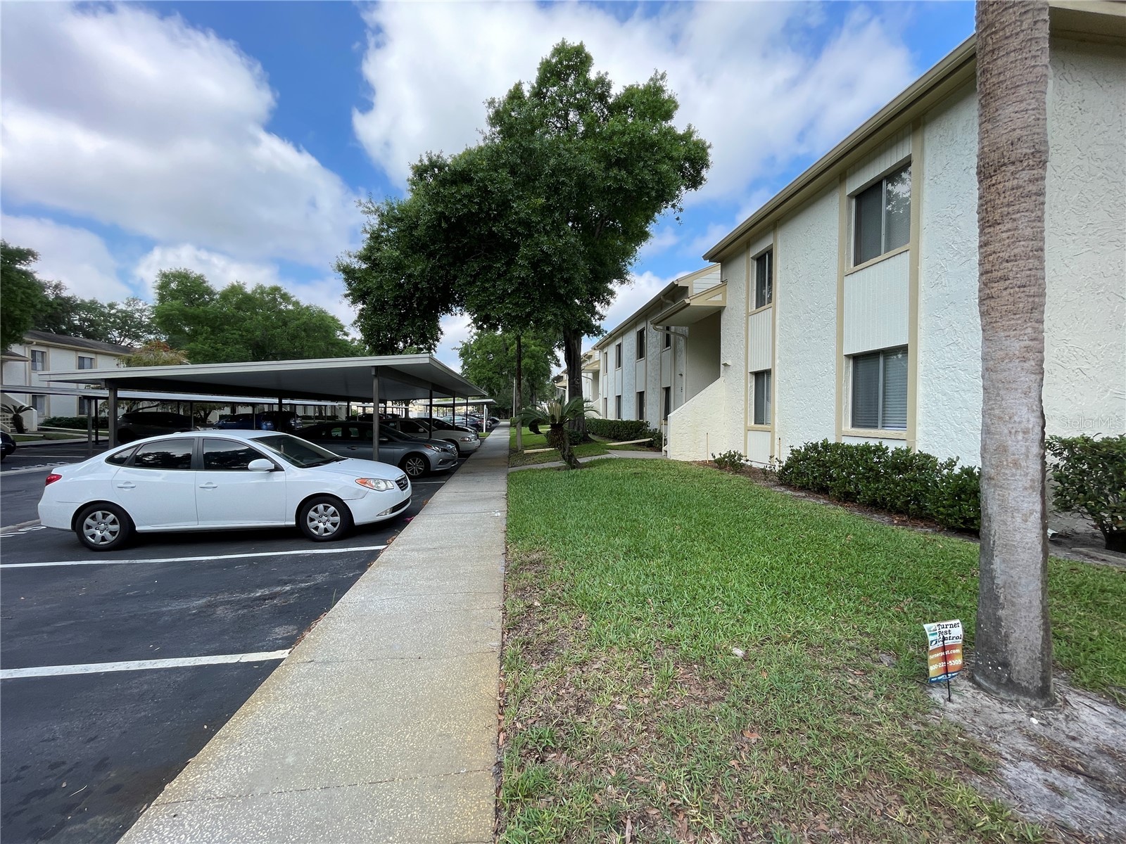 211 Pine Court #211 Oldsmar FL 34677 TB8406368 image47