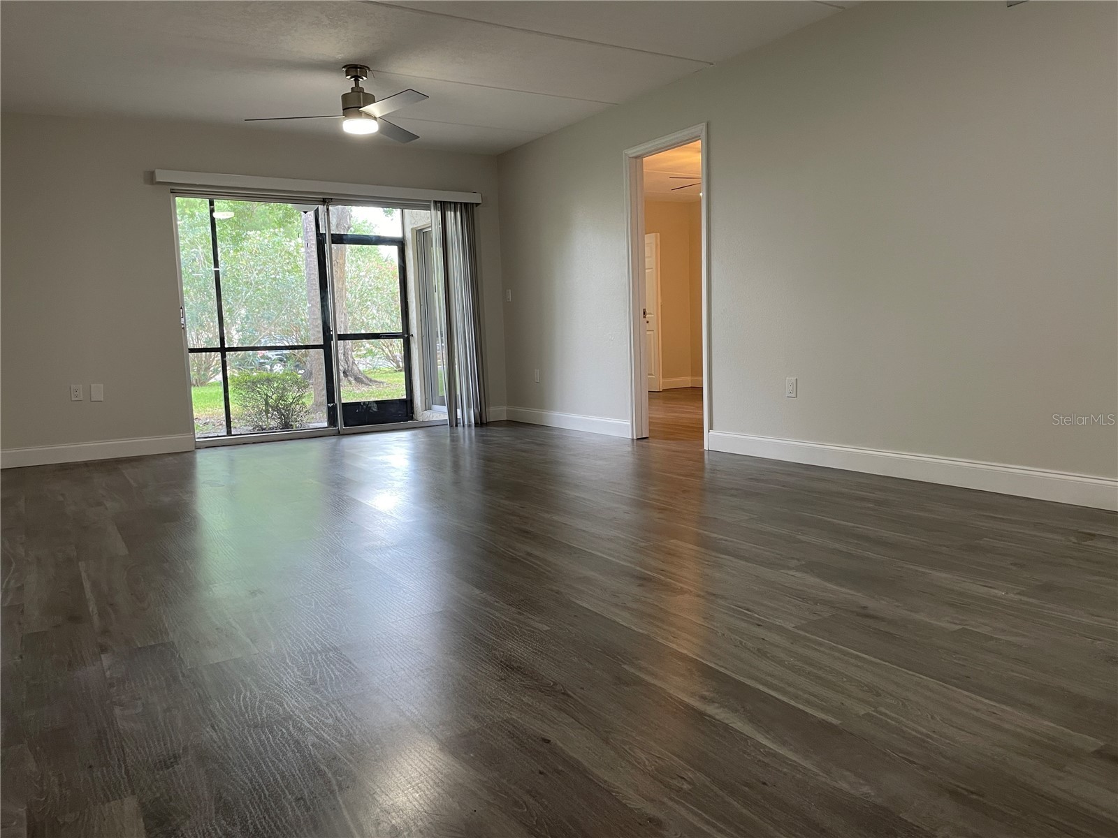 211 Pine Court #211 Oldsmar FL 34677 TB8406368 image5