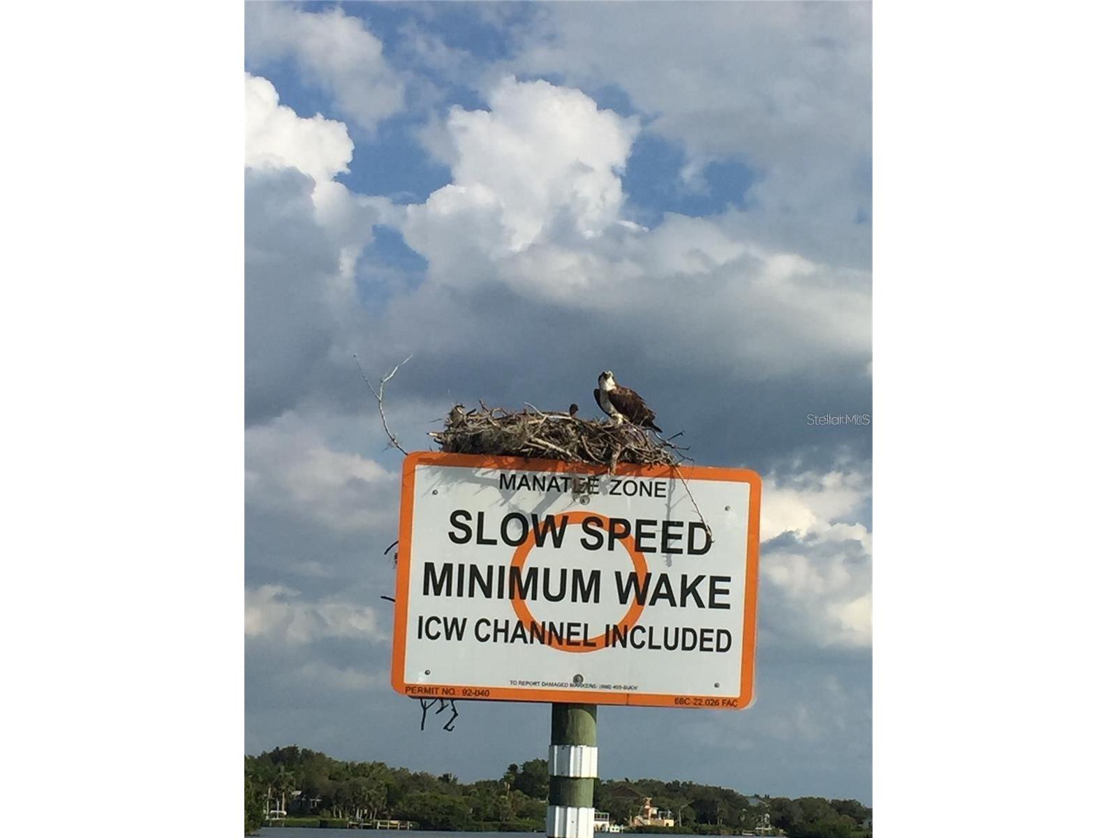 211 Rubens Drive #E Nokomis FL 34275 N6144444 image50