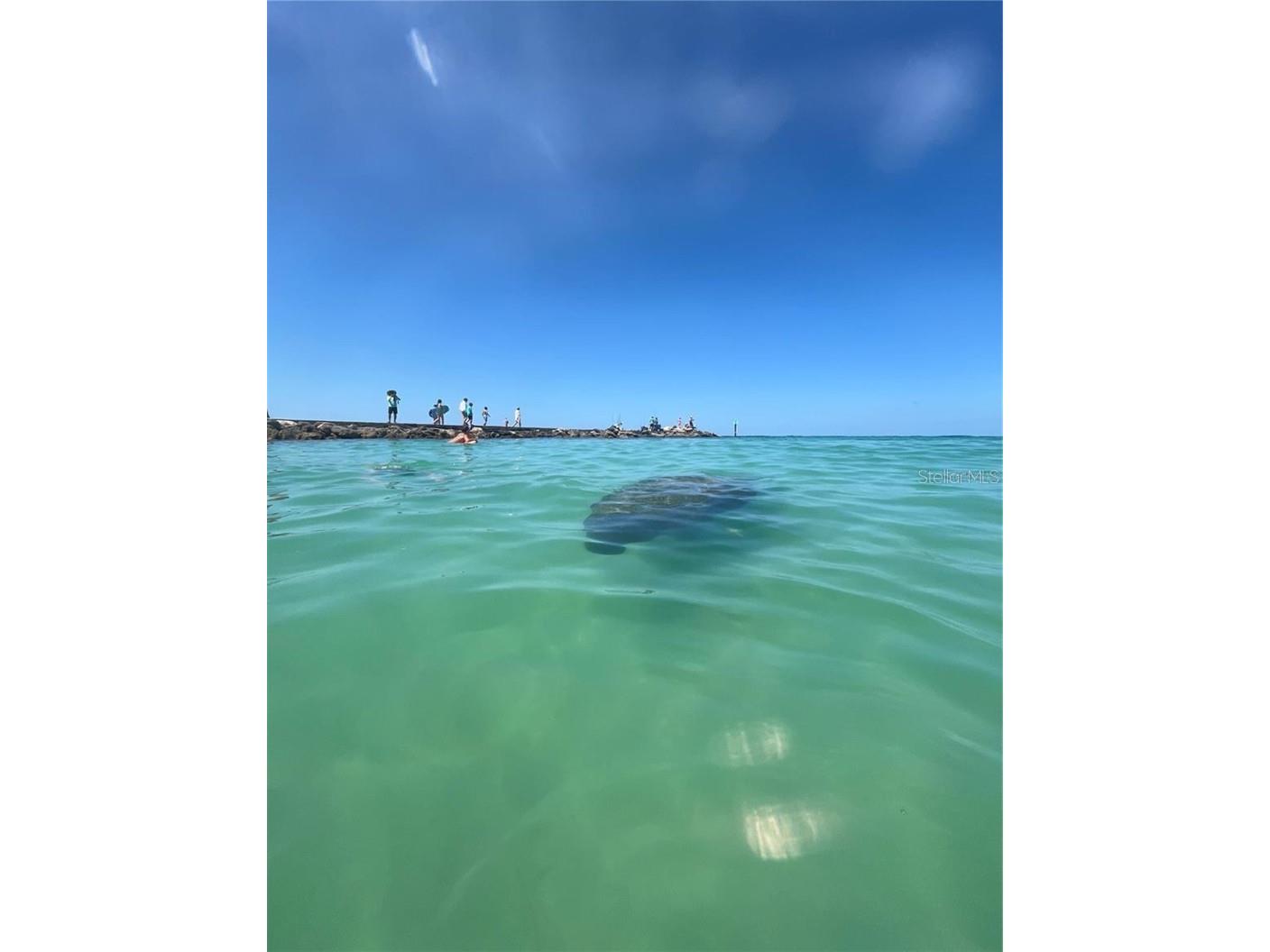 211 Rubens Drive #E Nokomis FL 34275 N6144444 image53