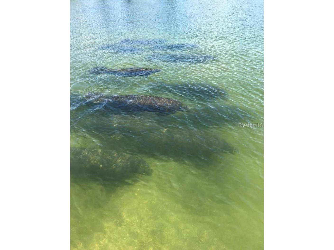 211 Rubens Drive #E Nokomis FL 34275 N6144444 image54