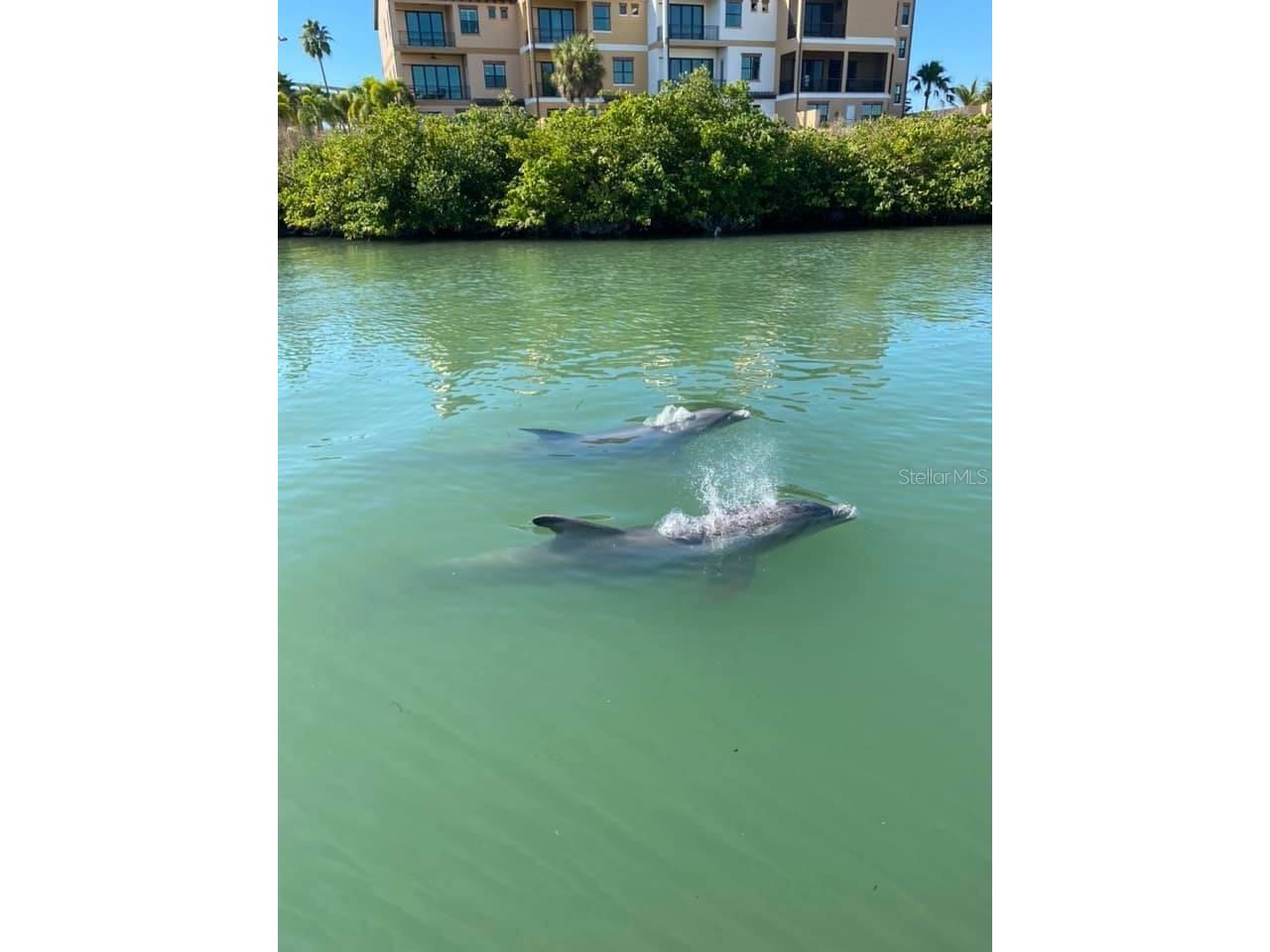 211 Rubens Drive #E Nokomis FL 34275 N6144444 image55