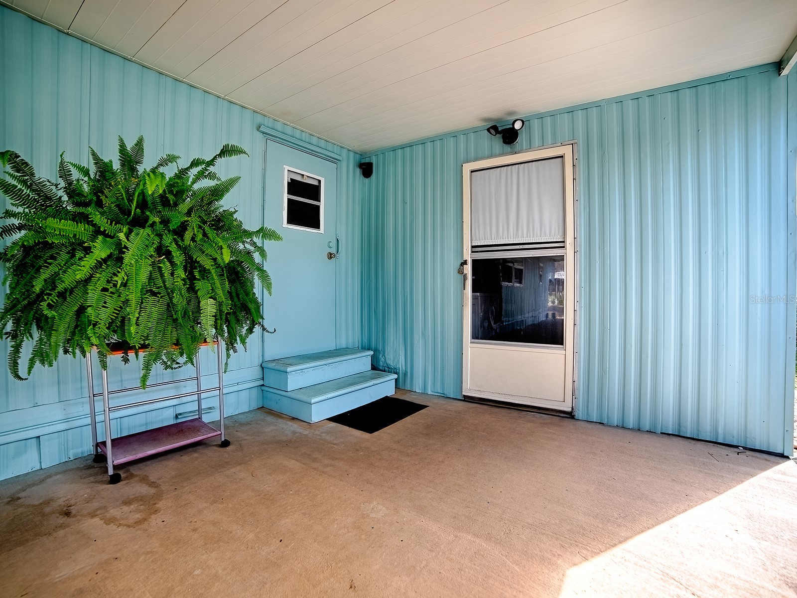 211 Rue De Paresse Tavares FL 32778 - DORA CANAL G5107214 image14