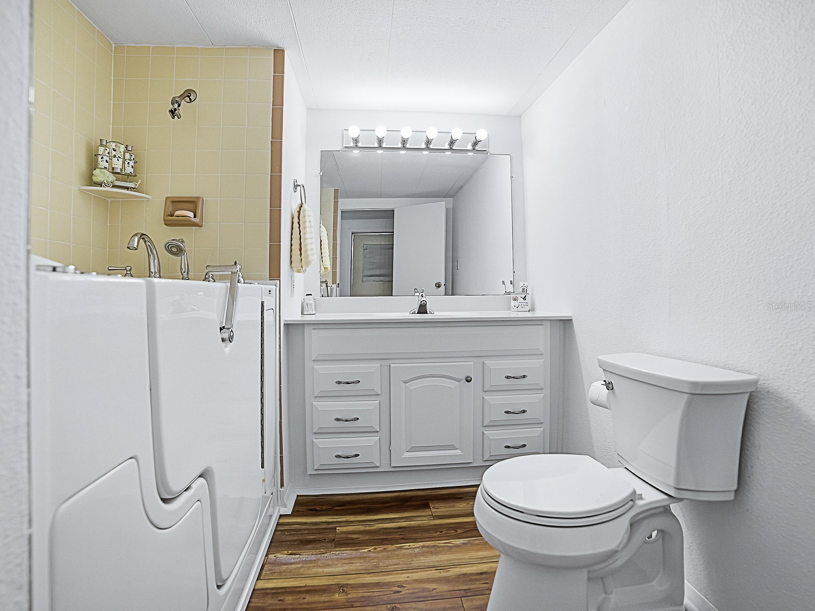 211 Rue De Paresse Tavares FL 32778 - DORA CANAL G5107214 image9