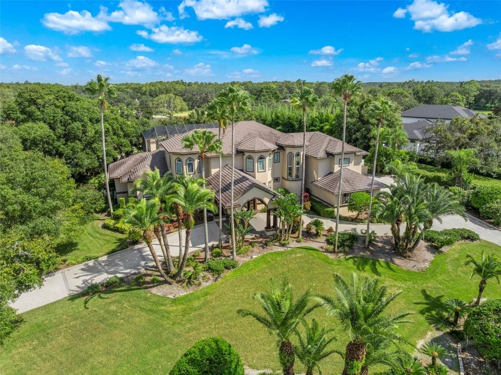 211 Rue Des Chateaux Tarpon Springs FL 34688 - LAKE TARPON TB8428028 image3