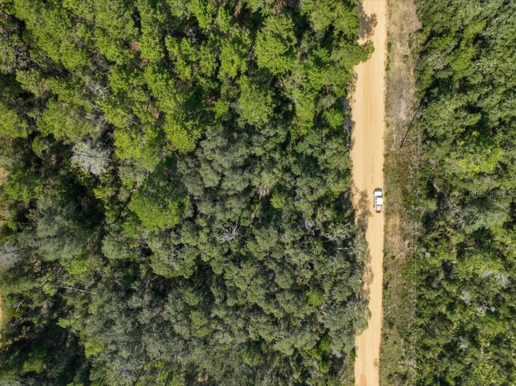 211 Selma Avenue Interlachen FL 32148 O6365312 image12