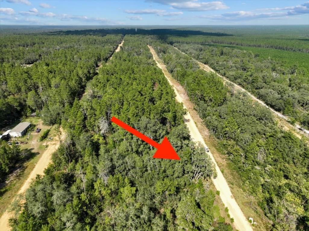 211 Selma Avenue Interlachen FL 32148 O6365312 image14
