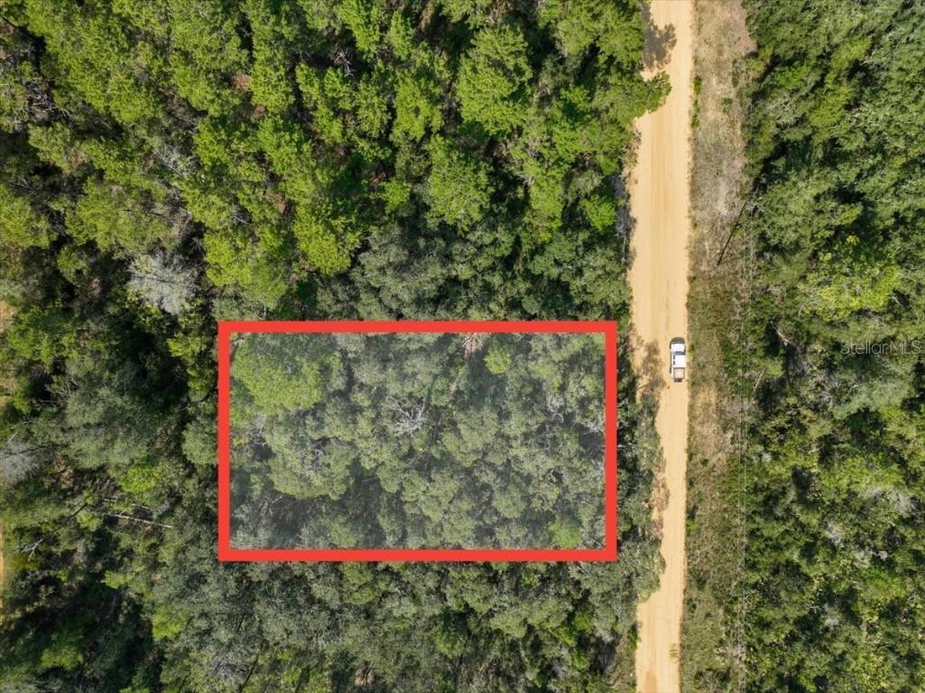 211 Selma Avenue Interlachen FL 32148 O6365312 image2