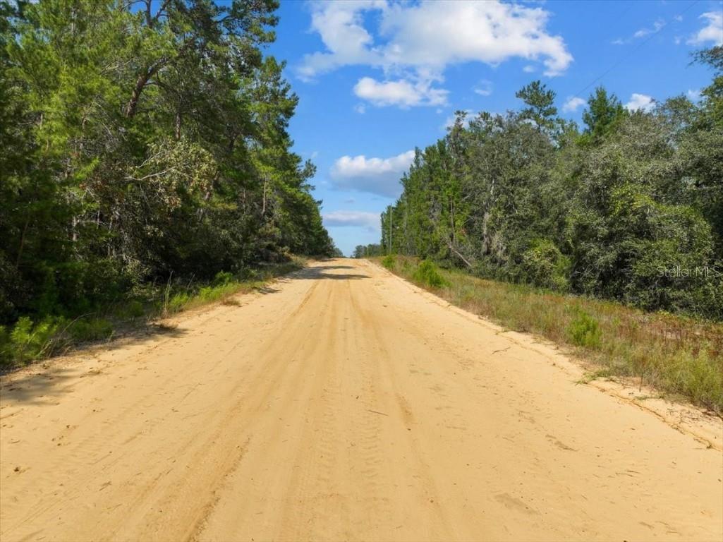 211 Selma Avenue Interlachen FL 32148 O6365312 image3