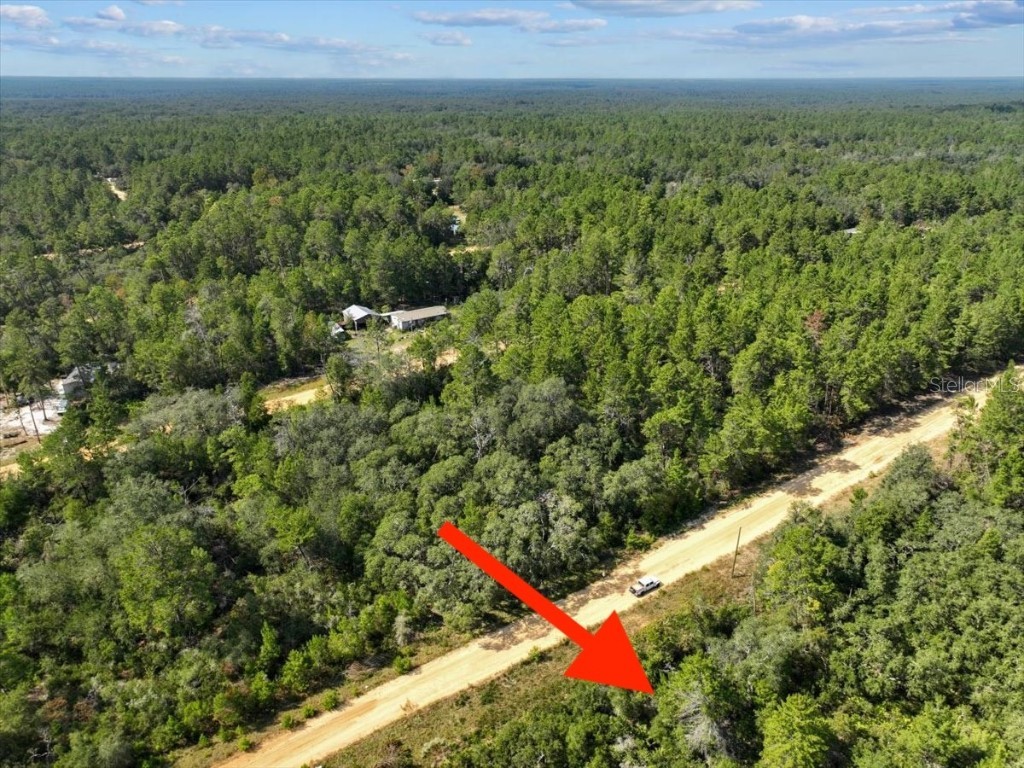 211 Selma Avenue Interlachen FL 32148 O6365312 image9