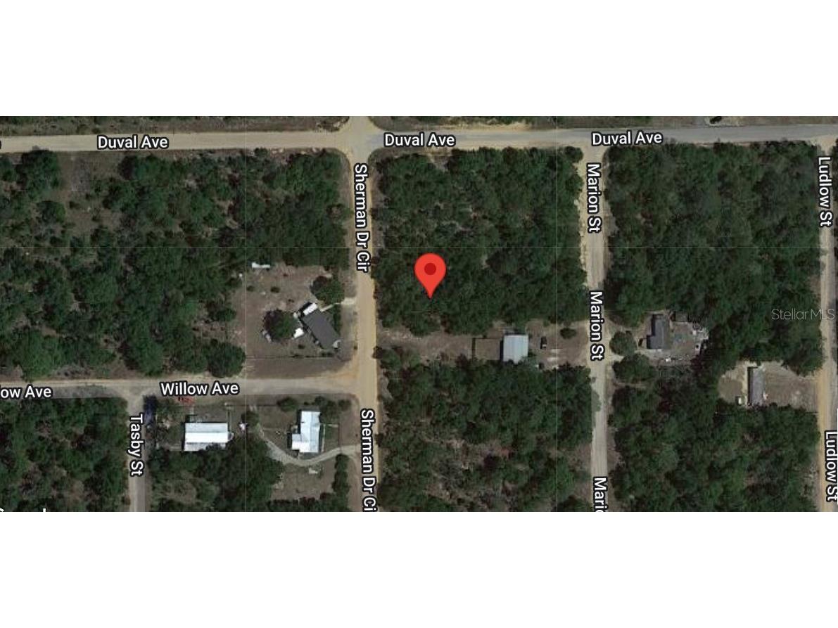 211 Sherman Drive Circle Interlachen FL 32148 OM655278 image1