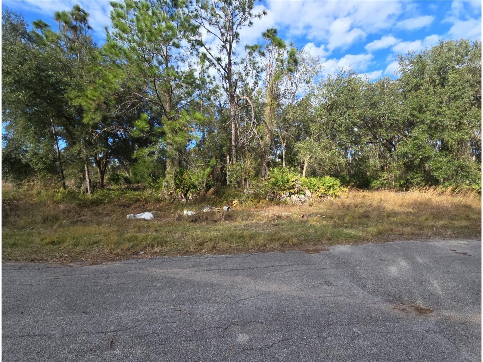 211 Starling Court Kissimmee FL 34759 S5142437 image1