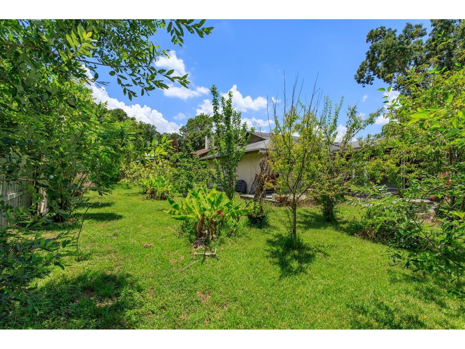 211 Stevenage Drive Longwood FL 32779 O6423331 image24