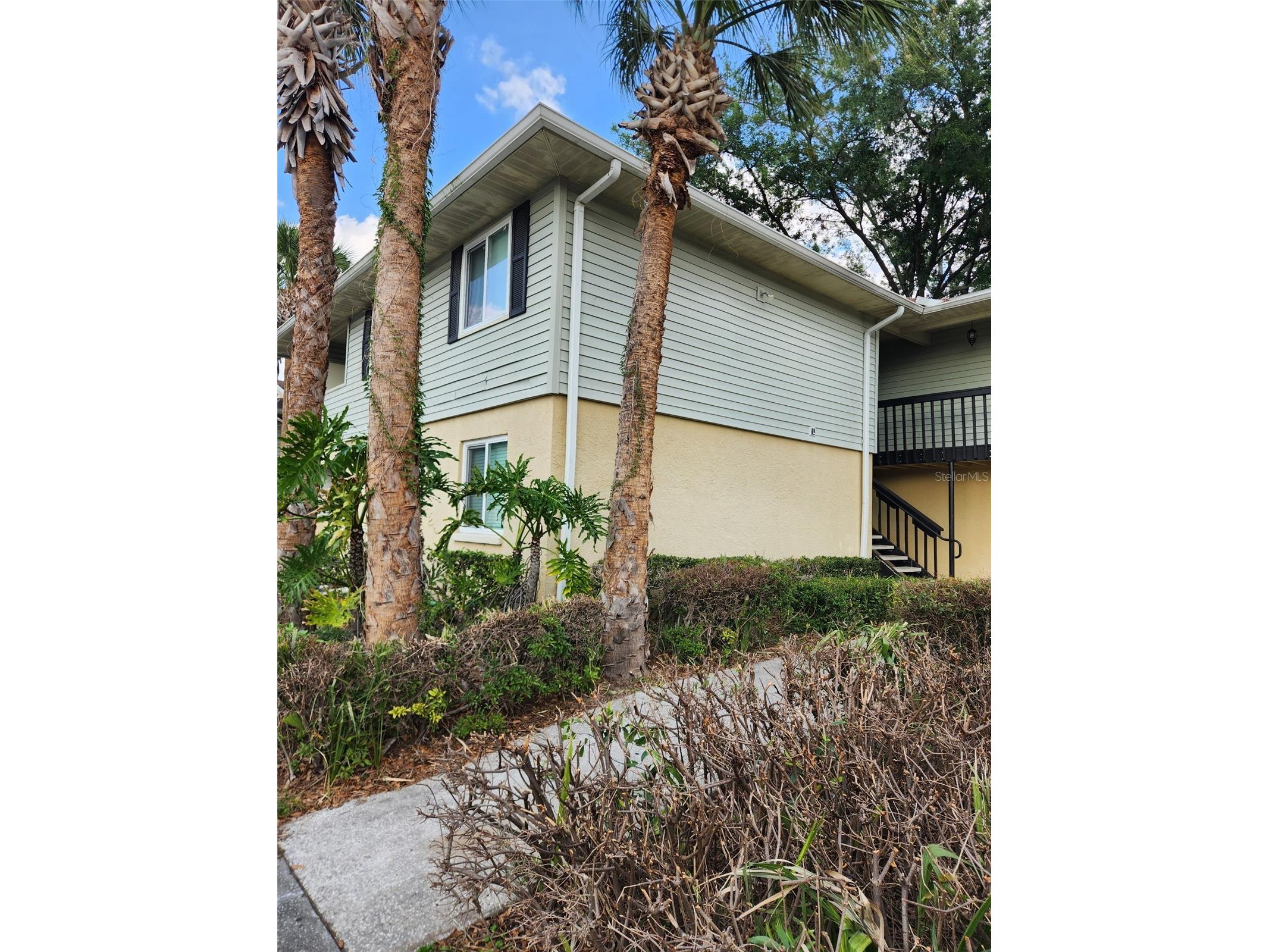 211 Thorn Tree Place Brandon FL 33510 TB8491899 image1