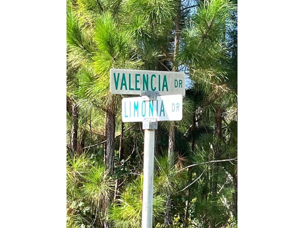 211 Valencia Drive Indian Lake Estates FL 33855 O6342100 image5