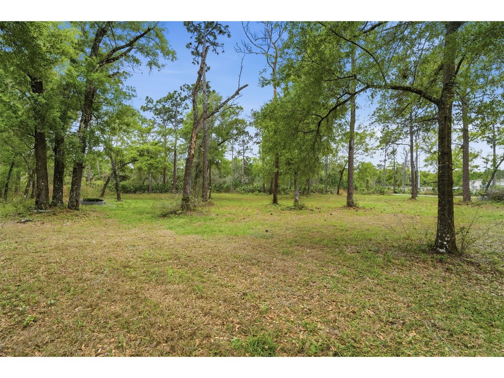 2110 E Kicklighter Road Lake Helen FL 32744 V4948122 image38