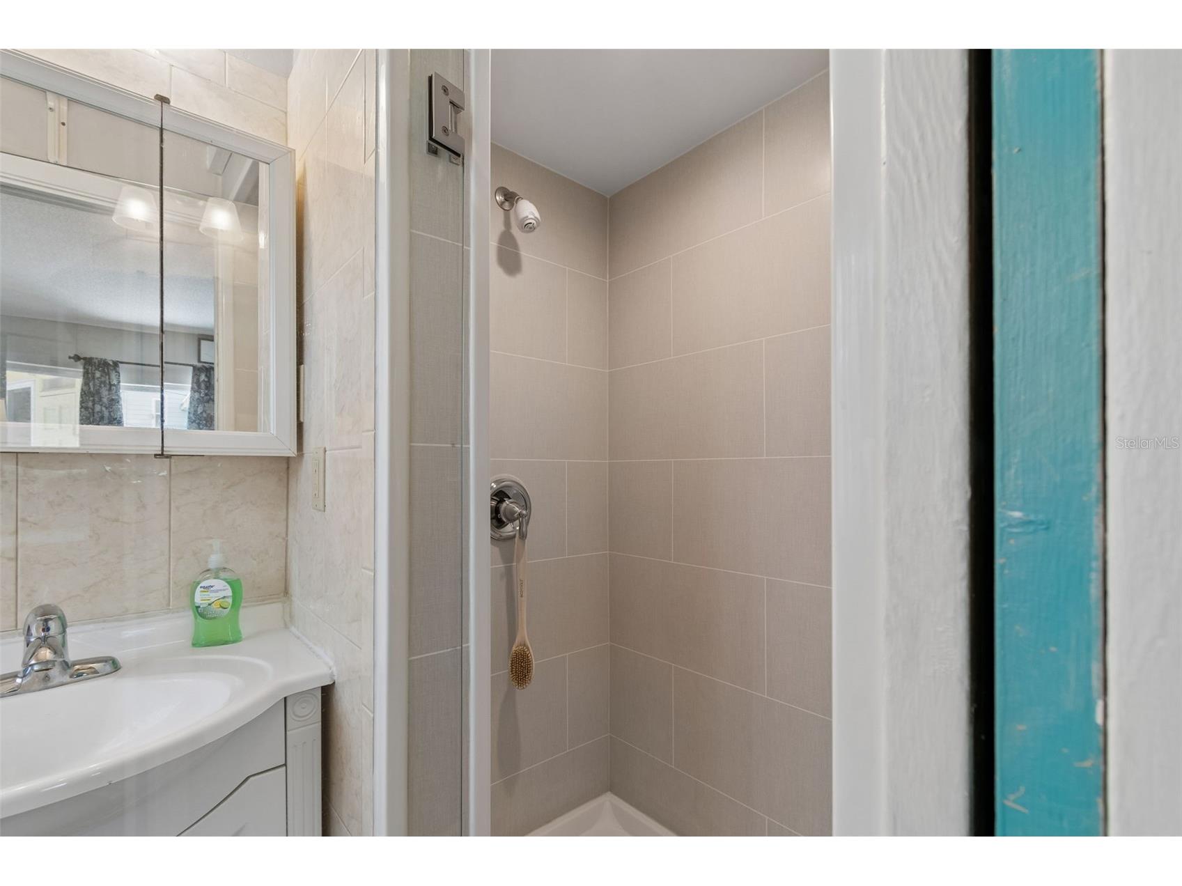 2110 Fairway Avenue S Saint Petersburg FL 33712 TB8402177 image36