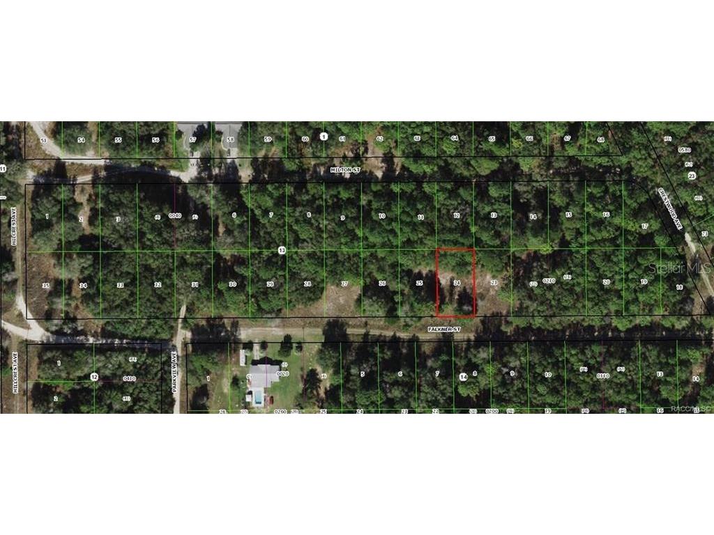 2110 Falkner Street Inverness FL 34453 OM680476 image1