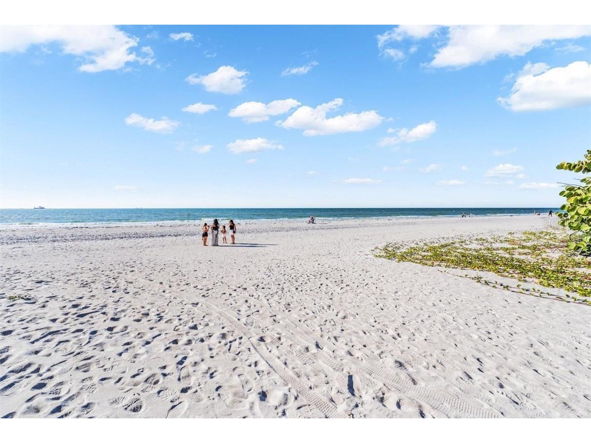 2110 Gulf Boulevard #8 Indian Rocks Beach FL 33785 TB8447500 image34