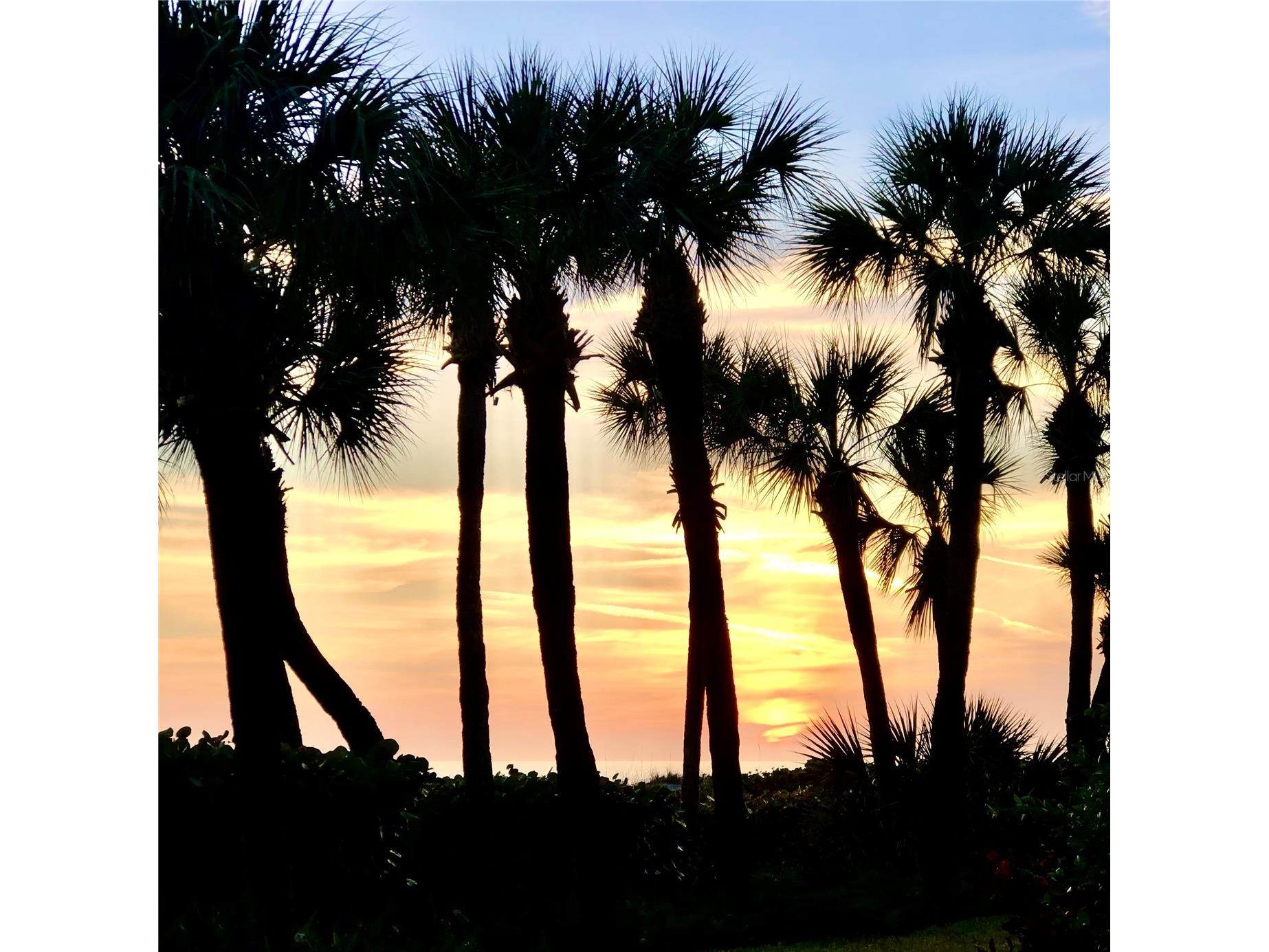 2110 Harbourside Drive #526 Longboat Key FL 34228 A4669215 image68