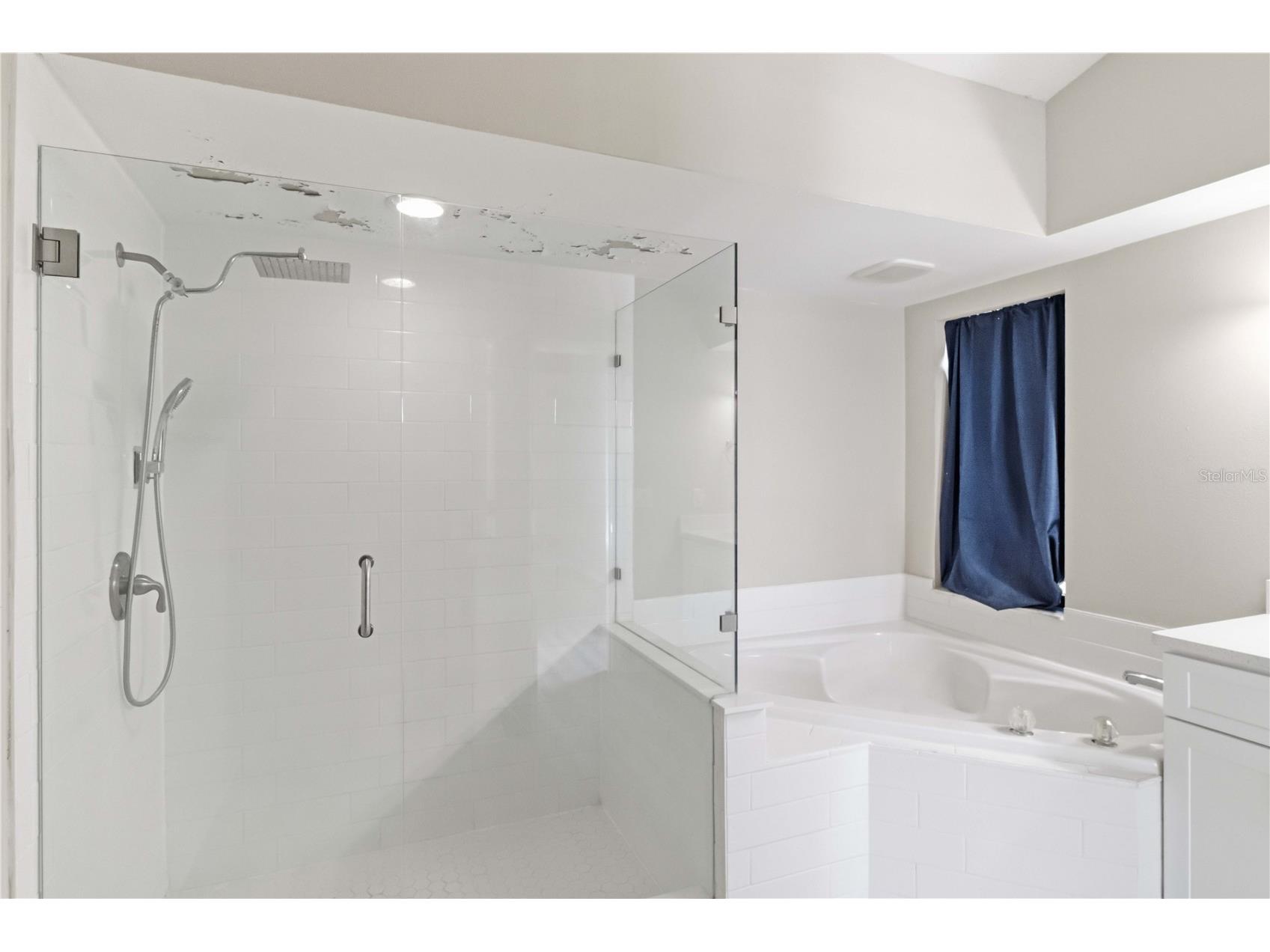 2110 Laindale Place Valrico FL 33596 TB8517425 image15