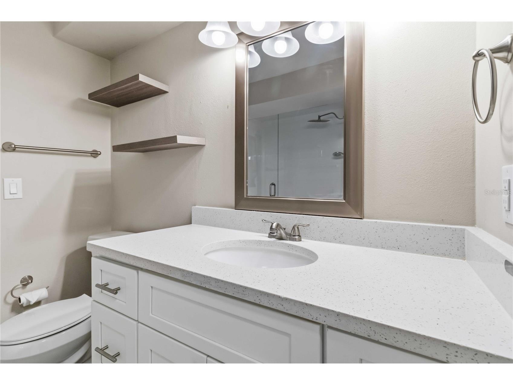 2110 Laindale Place Valrico FL 33596 TB8517425 image20