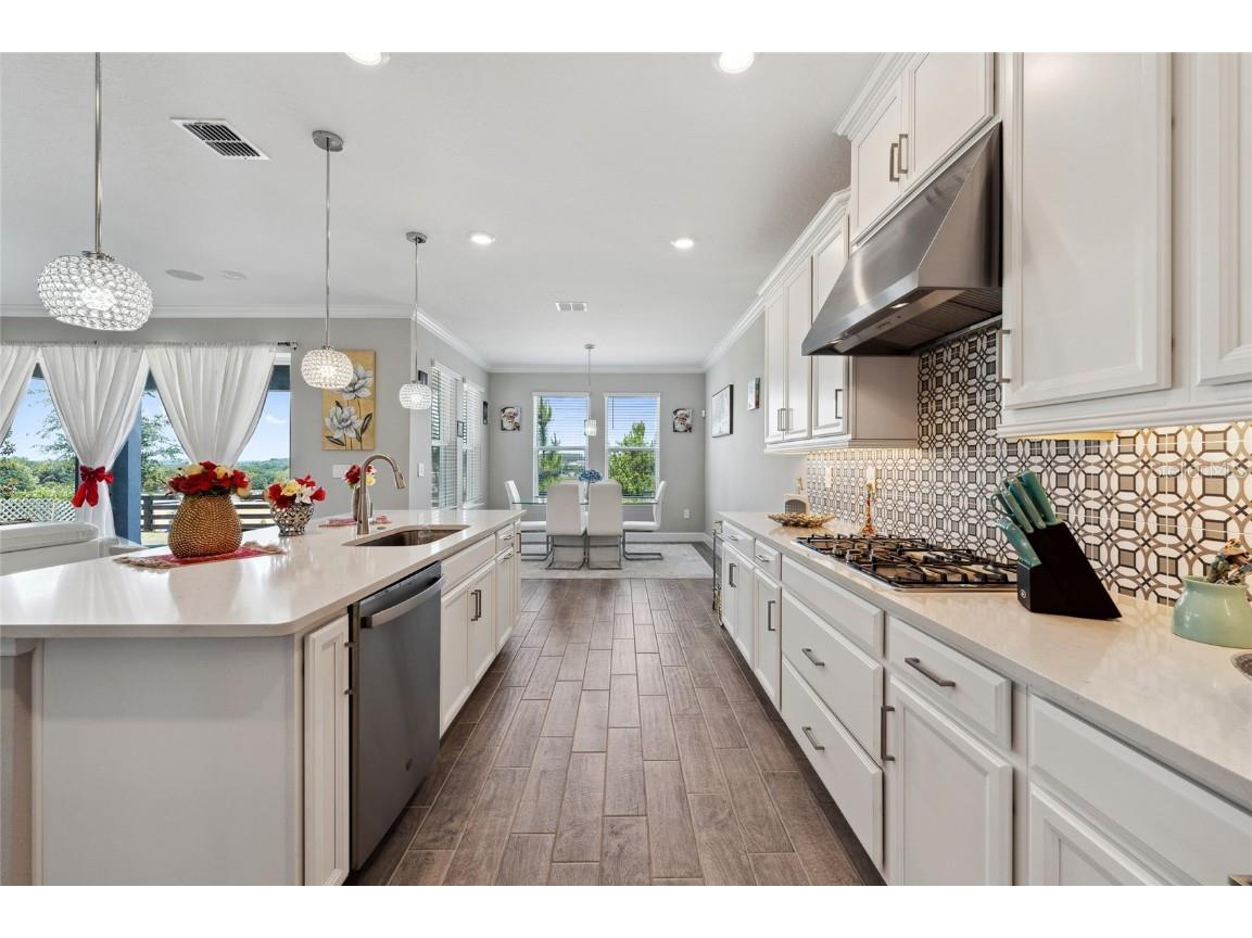 2110 Old Hollow Lane Clermont FL 34715 S5126084 image13