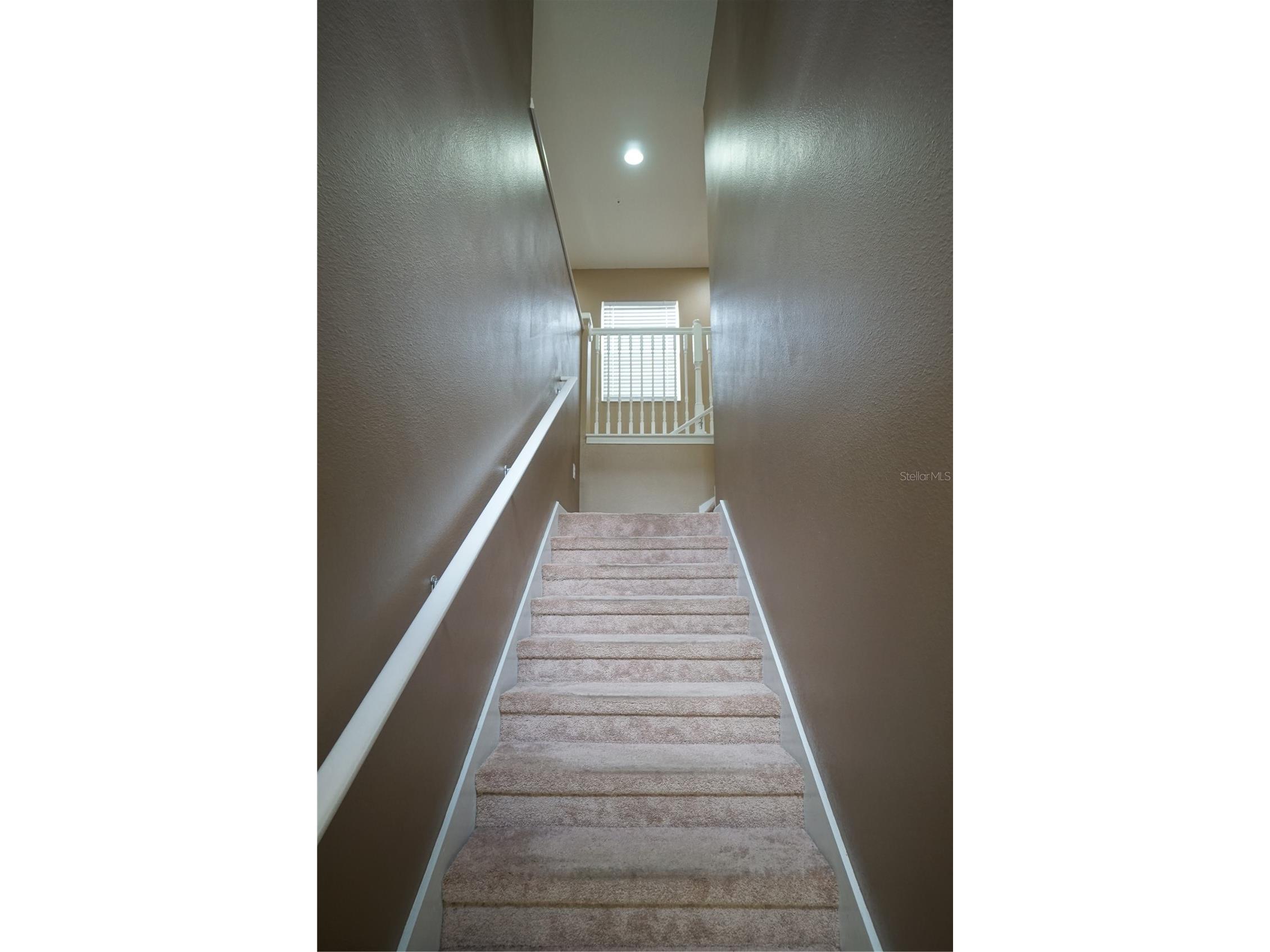2110 River Turia Circle #0 Riverview FL 33578 TB8507887 image12