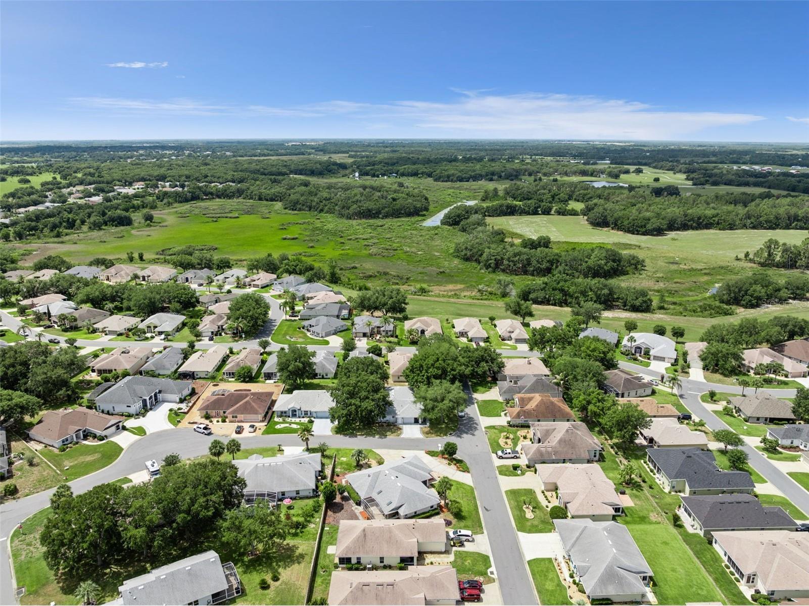 21101 Braveheart Drive Leesburg FL 34748 G5112516 image37