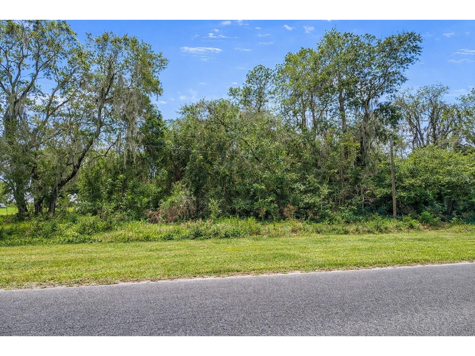 21103 NE 117th Avenue Waldo FL 32694 GC536588 image3