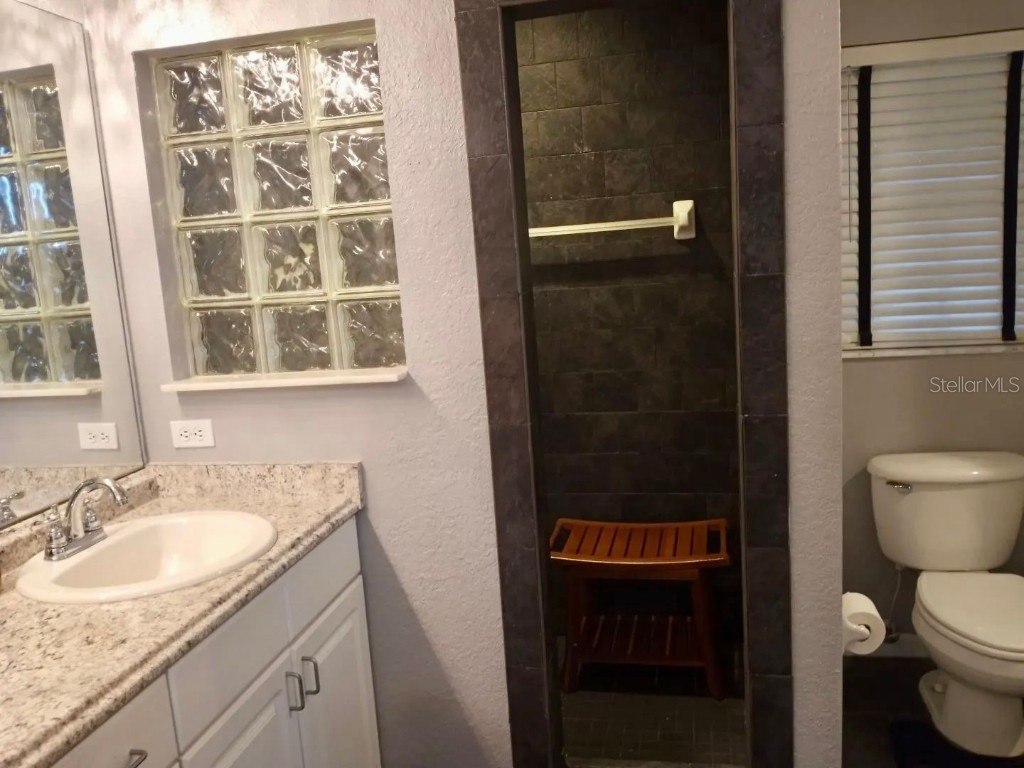 21103 Patio View Court #3302 Lutz FL 33558 TB8390218 image22