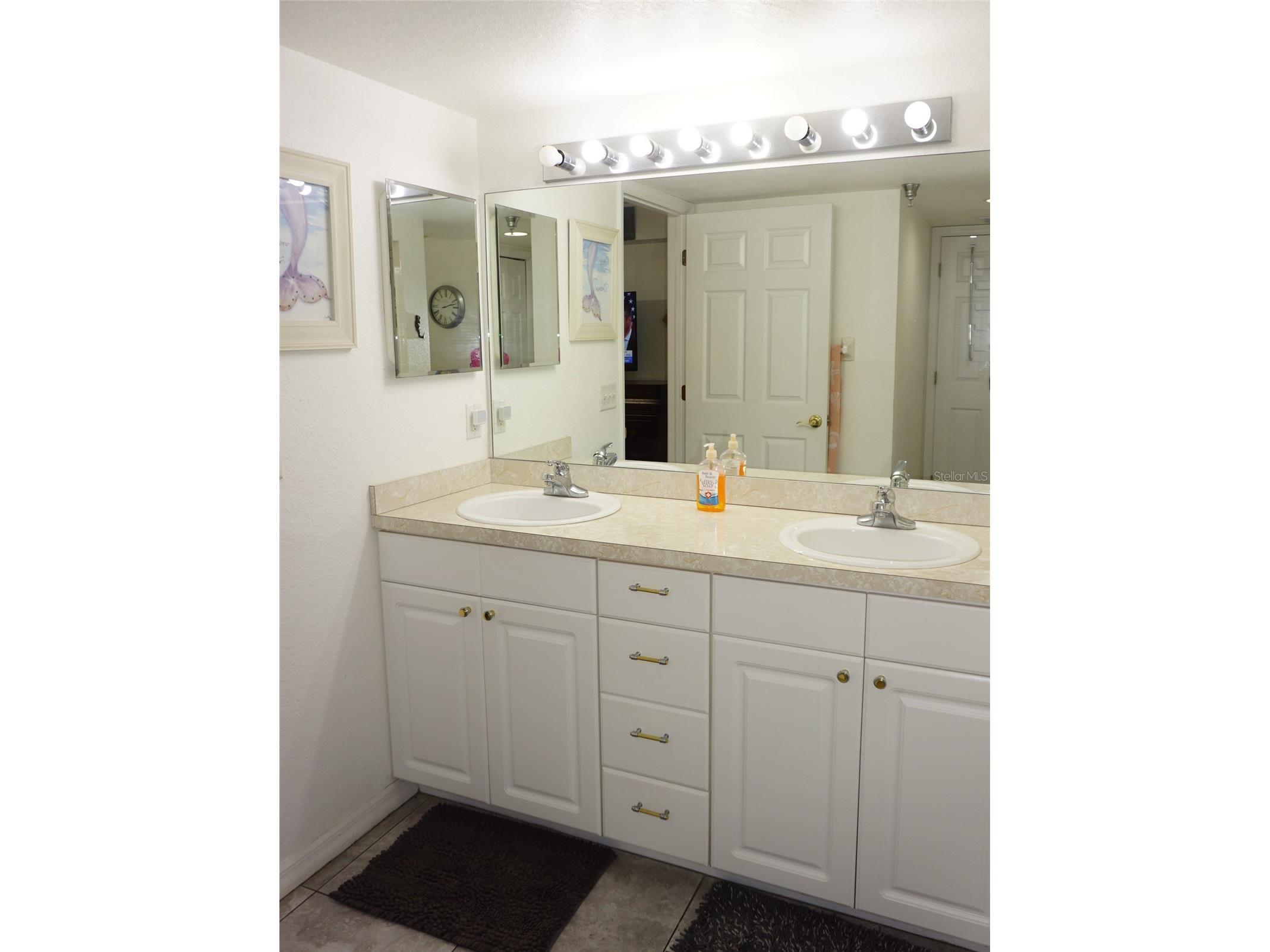 21107 Fountain View Lane #5102 Lutz FL 33558 W7879287 image21