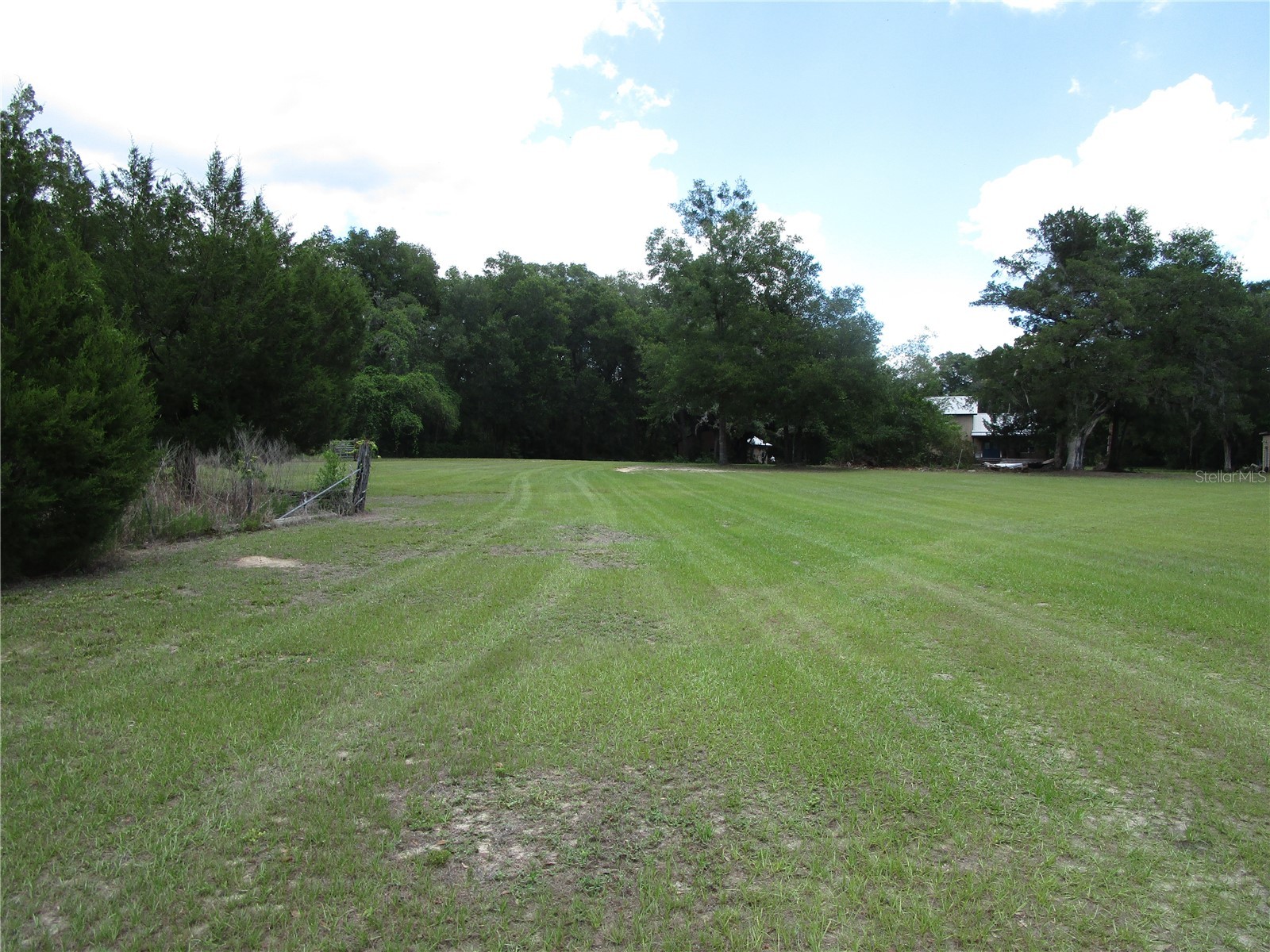 21108 Durden Road Dade City FL 33523 W7885808 image17
