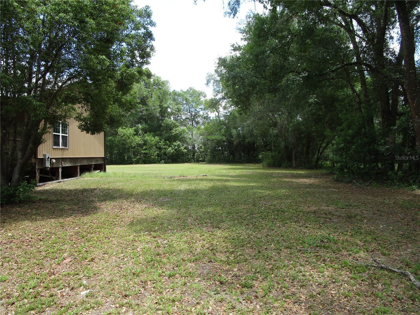 21108 Durden Road Dade City FL 33523 W7885808 image23