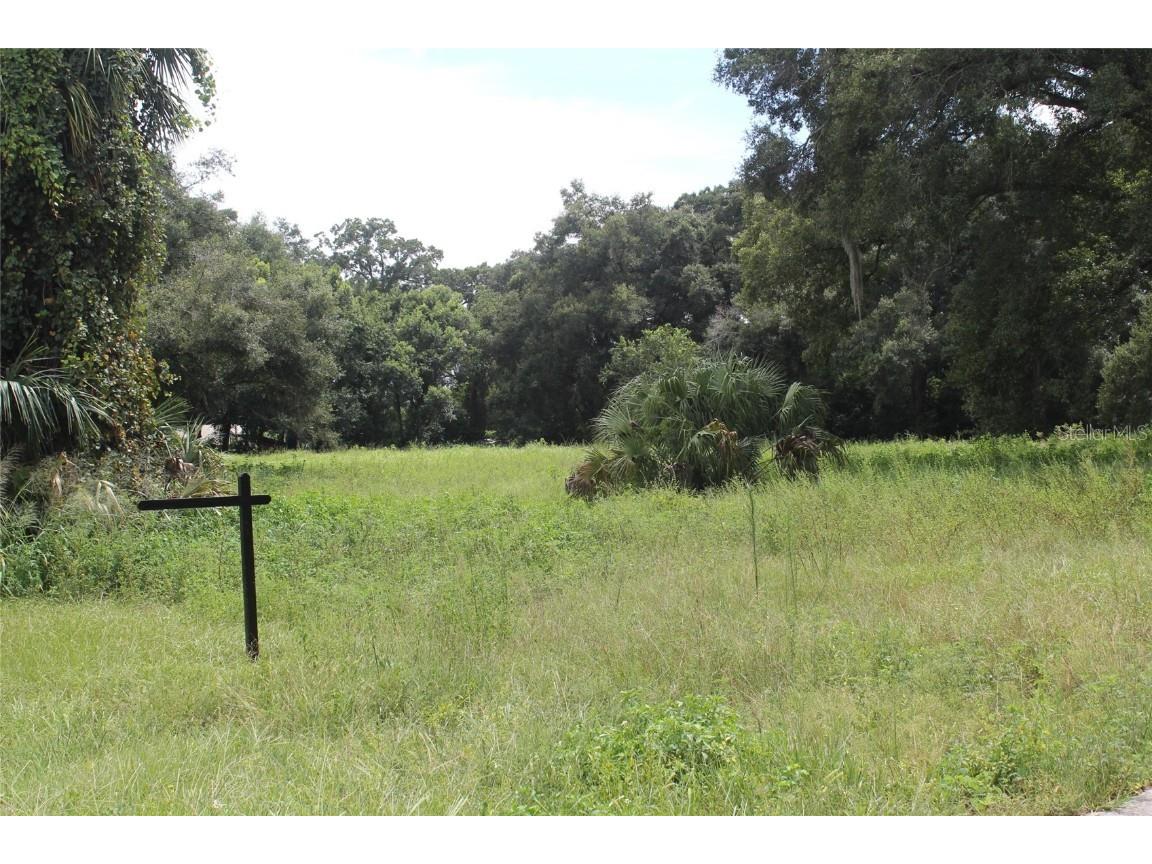 21109 Us Highway 98 Dade City FL 33523 T3394483 image1