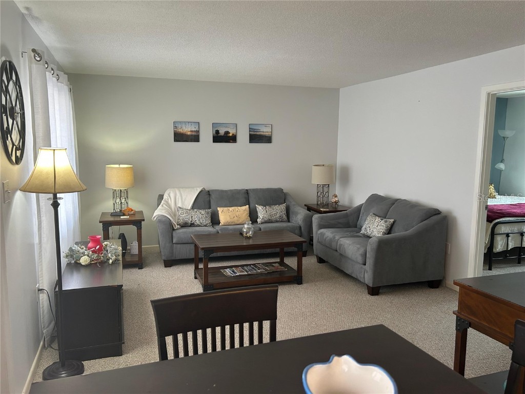 2111 Lakeview Drive #3C Sebring FL 33870 P4937205 image8