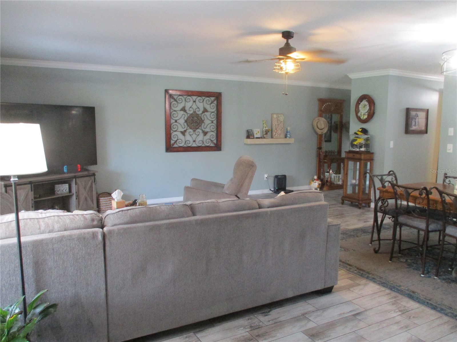 2111 N Halcyon Drive Sun City Center FL 33573 TB8513957 image6