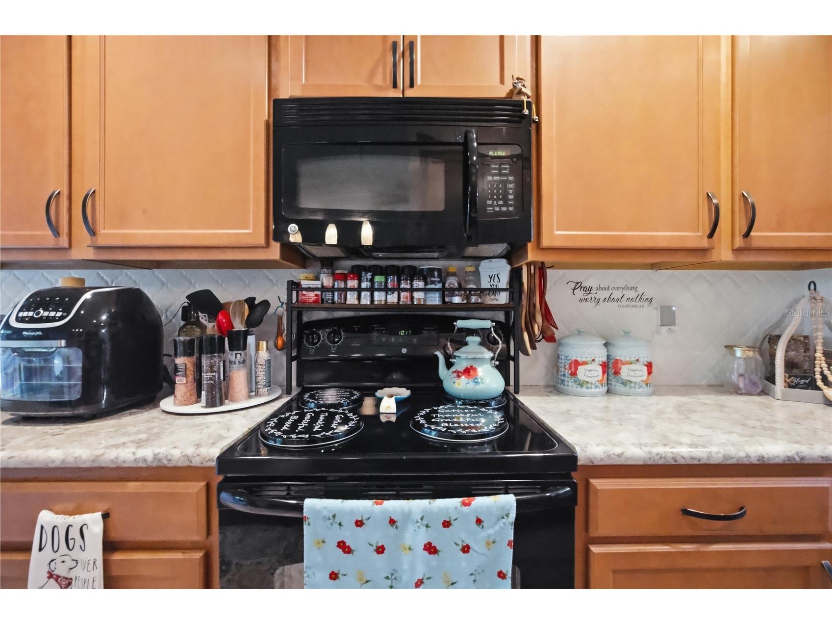 2111 River Turia Circle Riverview FL 33578 TB8497670 image10
